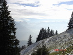 DSC01449