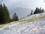 DSC01454