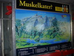 DSC01500