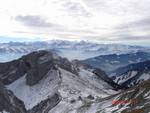 DSC01503