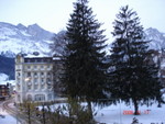 瑞士英格堡酒店外景物十六
