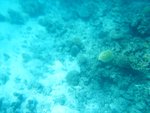 0137 Egypt Day 3 Snorkeling