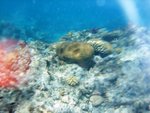 0145 Egypt Day 3 Snorkeling