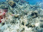 0146 Egypt Day 3 Snorkeling
