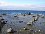 DSC07152
