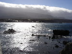 DSC07153