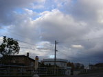 DSC07181