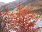 DSC05338