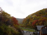 DSC05346