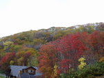 DSC05347