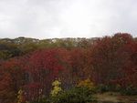 DSC05348