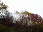 DSC05356