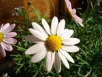 DSC05363