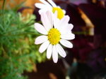 DSC05364