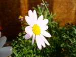 DSC05365