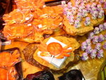 DSC05375