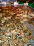 DSC05378