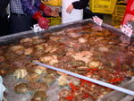 DSC05380