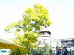 DSC06038