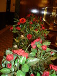 DSC06057