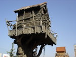 DSC06084