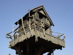 DSC06085