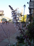 DSC06089