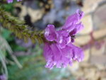 DSC06090