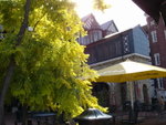 DSC06103