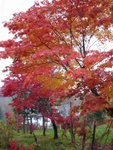 DSC06310