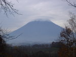 DSC06311