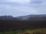 DSC06326