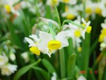 DSC00040