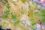 DSC01587