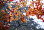DSC01588