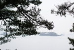 DSC01008