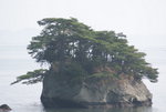DSC01010