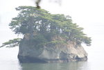 DSC01011