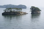 DSC01012