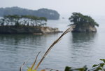 DSC01013