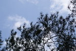 DSC01018