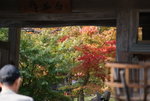 DSC01036