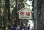 DSC01037