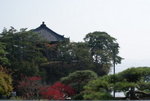 DSC01040