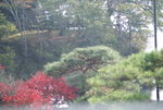 DSC01041