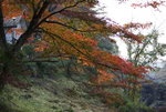 DSC01051