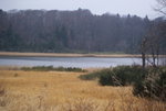 DSC01117