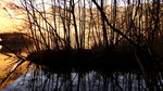 20161107_093044