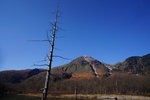DSC00940