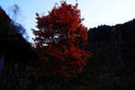 DSC01033